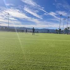 Sunny field view