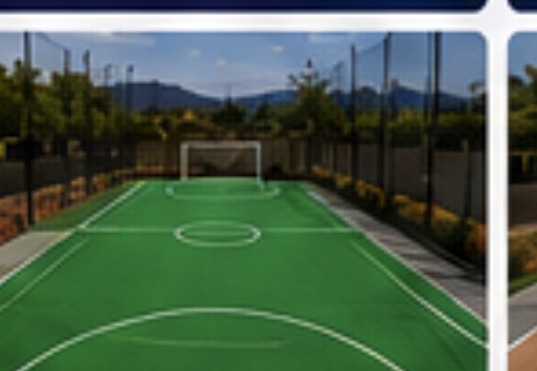 Green futsal court