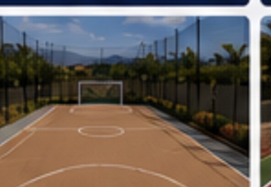 Tan futsal court